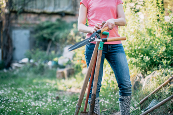 6 low-cost garden makeover tips