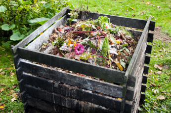 Build a composting area