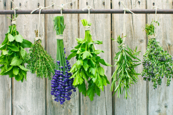 Split up your herbs