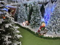 Christmas at Toad Hall Garden Centre