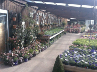 Around the Garden Centre