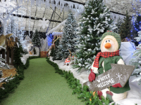 Christmas at Toad Hall Garden Centre