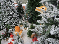 Christmas at Toad Hall Garden Centre