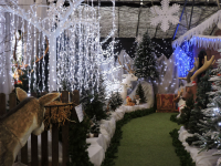 Christmas at Toad Hall Garden Centre