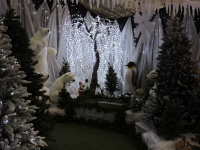 Christmas at Toad Hall Garden Centre