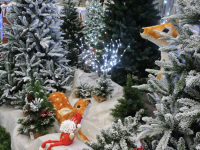 Christmas at Toad Hall Garden Centre