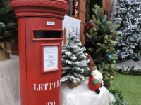 Christmas at Toad Hall Garden Centre