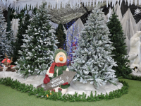 Christmas at Toad Hall Garden Centre