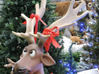 Christmas at Toad Hall Garden Centre