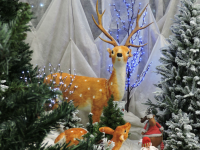 Christmas at Toad Hall Garden Centre