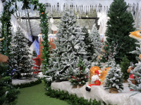 Christmas at Toad Hall Garden Centre