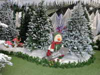 Christmas at Toad Hall Garden Centre