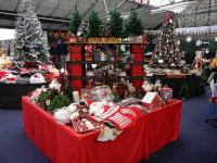 Christmas at Toad Hall Garden Centre