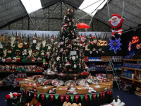 Christmas at Toad Hall Garden Centre