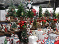 Christmas at Toad Hall Garden Centre