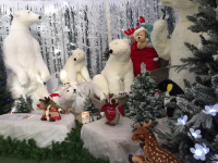 Christmas at Toad Hall Garden Centre