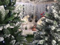 Christmas at Toad Hall Garden Centre