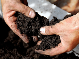 Compost & Bark