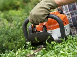 Keeping your hedge trimmer trim