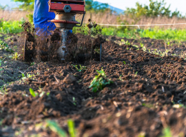 Cultivators Tillers & Lawn Rakers